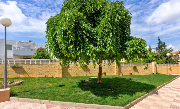 Herverkoop - Apartment - Torrevieja - El Chaparral