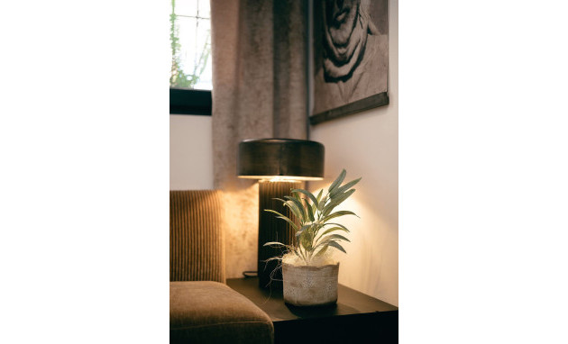 Herverkoop - Apartment - Torrevieja - Torrevieja - Centre