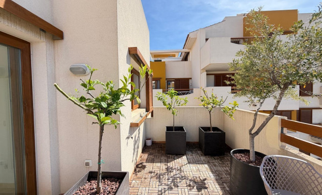 Herverkoop - Penthouse - Torrevieja - Punta prima