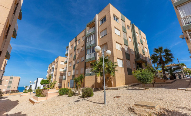 Reventa - Apartment - Torrevieja - Cabo cervera