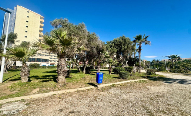 Herverkoop - Apartment - Torrevieja - Cabo cervera