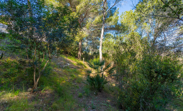 Herverkoop - Detached Villa - Orihuela Costa - Villamartin