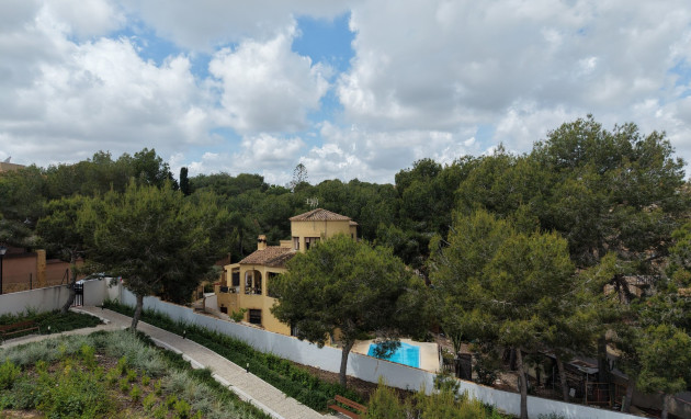 Herverkoop - Detached Villa - Orihuela Costa - Villamartin