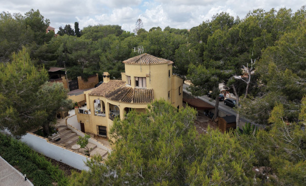 Herverkoop - Detached Villa - Orihuela Costa - Villamartin