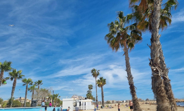 Herverkoop - Apartment - Torrevieja - Playa Los Naufragos