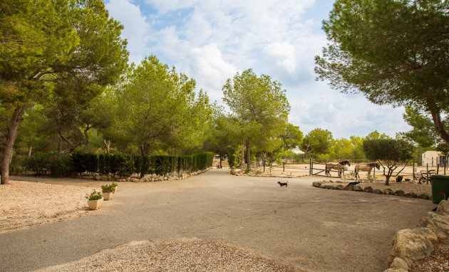 Revente - Country Property - Torremendo