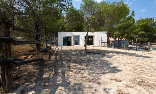 Revente - Country Property - Torremendo