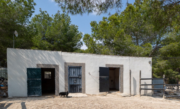 Revente - Country Property - Torremendo