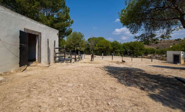 Revente - Country Property - Torremendo