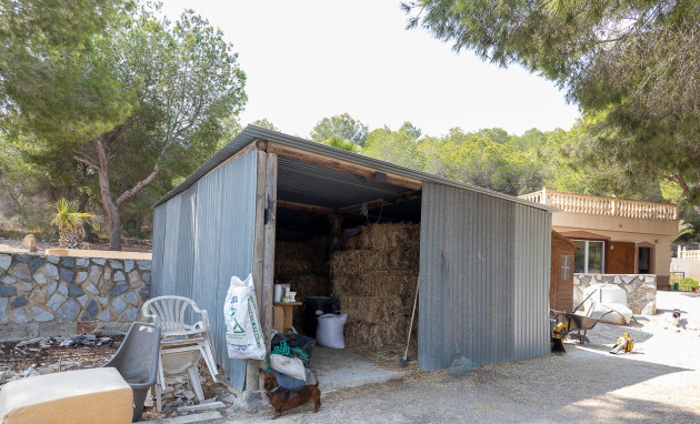Revente - Country Property - Torremendo