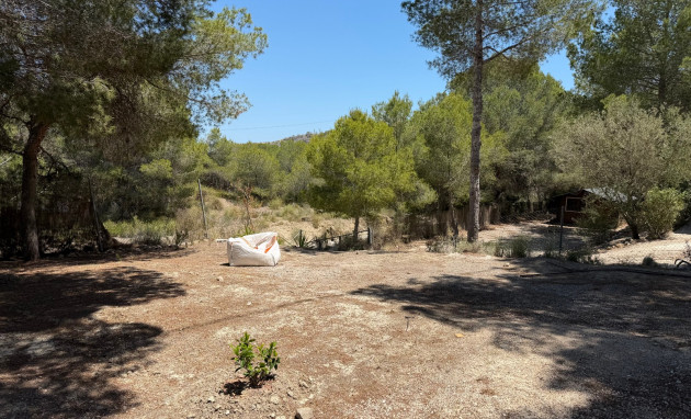 Herverkoop - Country Property - Orihuela - Torremendo