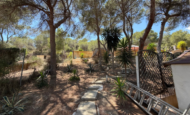 Herverkoop - Country Property - Orihuela - Torremendo