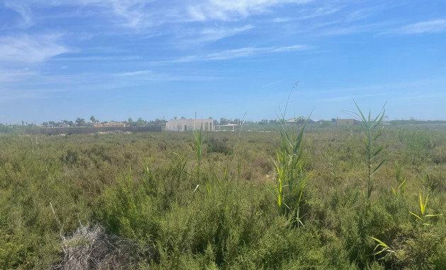 Reventa - Land - Catral