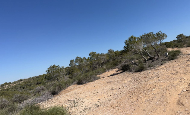 Herverkoop - Land and Plots - San Fulgencio - La Marina