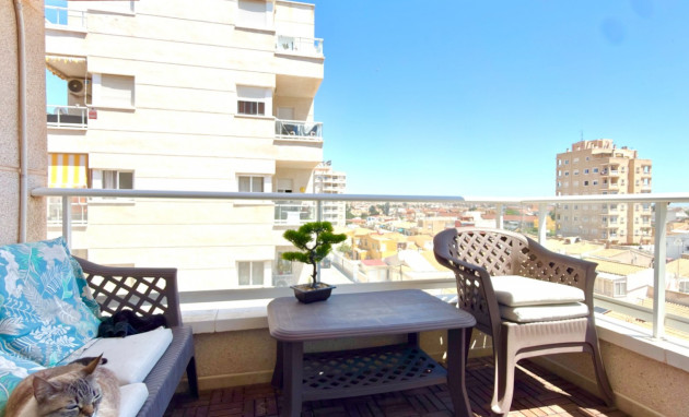 Revente - Apartment - Torrevieja - Torrevieja - Centre
