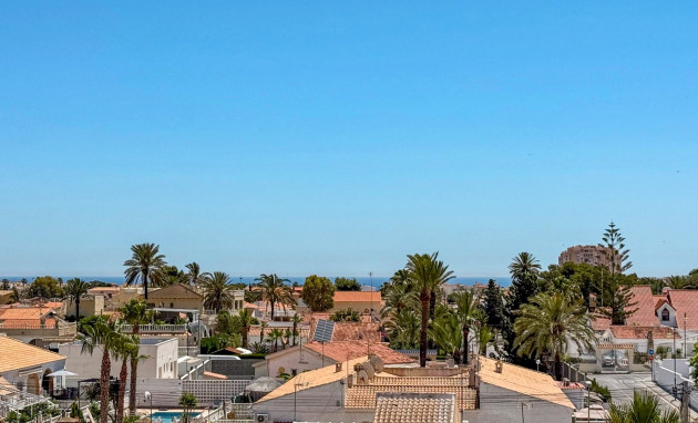 Revente - Apartment - Torrevieja - Torrevieja - Centre