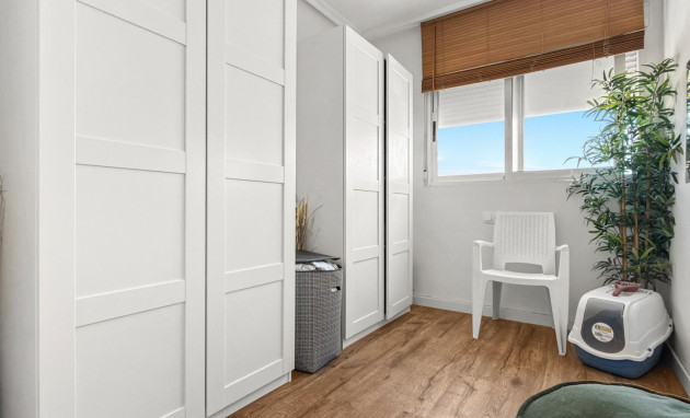 Reventa - Apartment - Torrevieja - Torrevieja - Centre