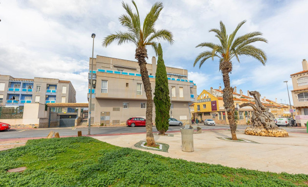 Reventa - Ático - Torrevieja - Estacion de autobuses