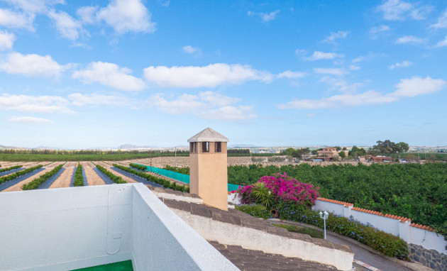Herverkoop - Country Property - San Miguel de Salinas - San Miguel - Country