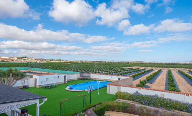 Herverkoop - Country Property - San Miguel de Salinas - San Miguel - Country