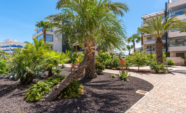Herverkoop - Apartments - Orihuela Costa - Los Dolses