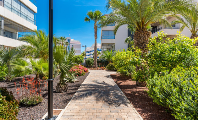 Herverkoop - Apartments - Orihuela Costa - Los Dolses