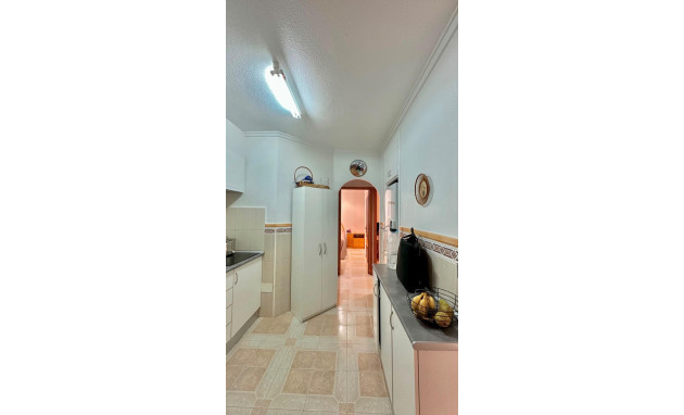 Reventa - Apartment - Torrevieja - Estacion de autobuses