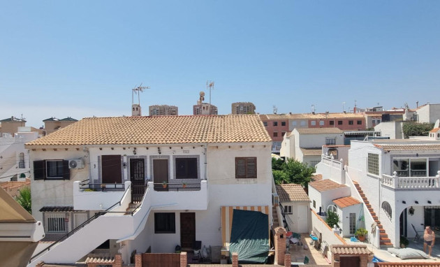 Reventa - Triplex - Torrevieja - Estacion de autobuses