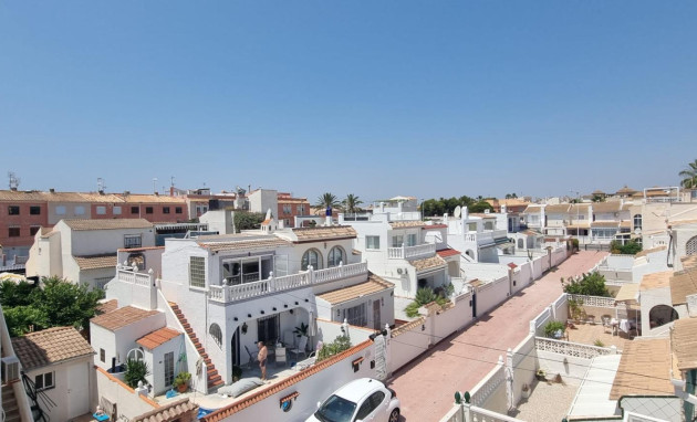 Reventa - Triplex - Torrevieja - Estacion de autobuses