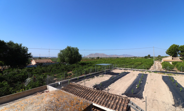 Herverkoop - Country Property - Albatera - Albatera - Country
