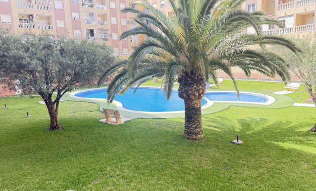 Revente - Apartment - Torrevieja - Torrevieja - Centre