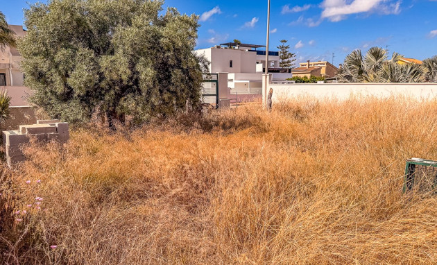 Herverkoop - Land - Santiago de la Ribera - zona san blas