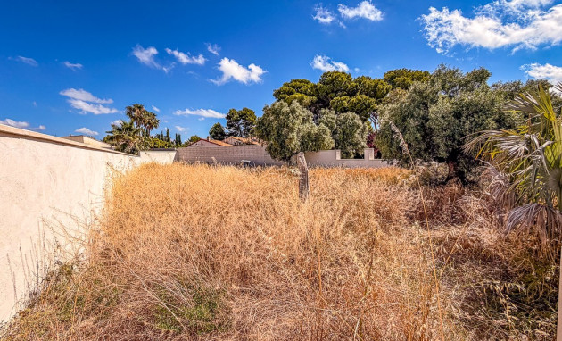 Herverkoop - Land - Santiago de la Ribera - zona san blas