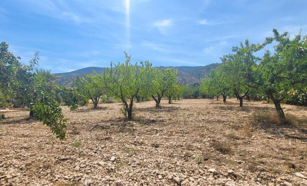 Herverkoop - Country Property - Hondon - Hondon de Las Nieves