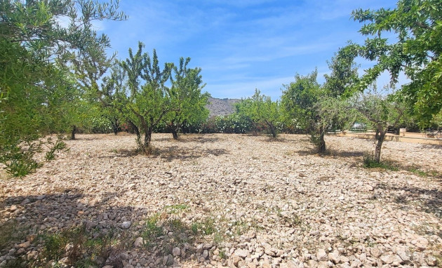 Herverkoop - Country Property - Hondon - Hondon de Las Nieves