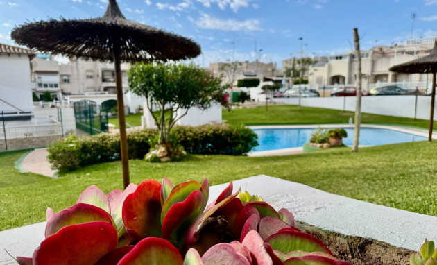 Revente - Bungalow - Rez-de-chaussée - Torrevieja - Los balcones