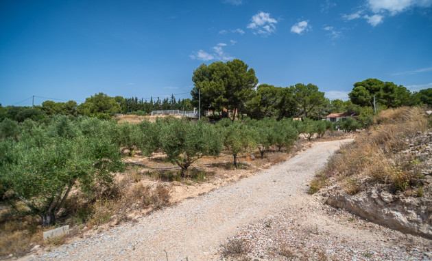 Resale - House - LA TERCIA - La Tercia