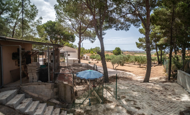 Resale - House - LA TERCIA - La Tercia