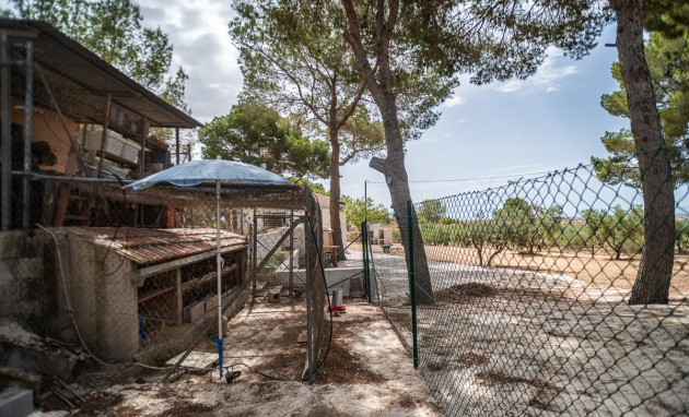 Resale - House - LA TERCIA - La Tercia
