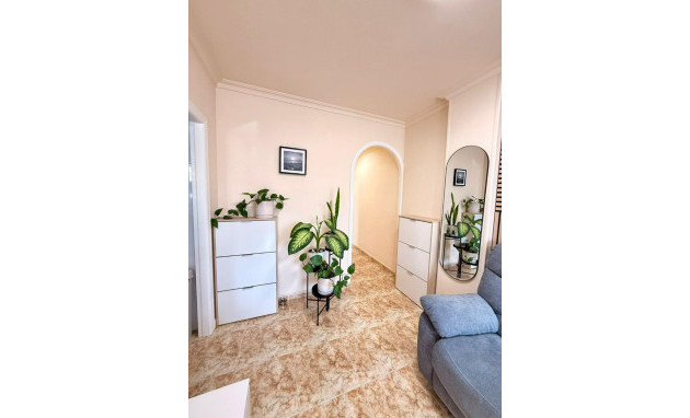 Herverkoop - Apartment - Torrevieja - Playa de los locos