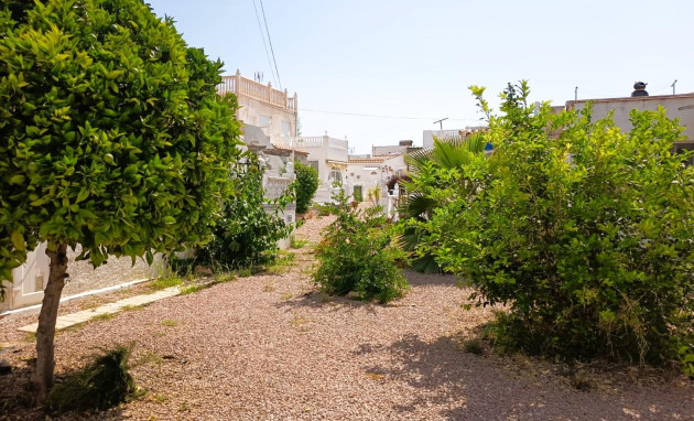 Herverkoop - Bungalow - Gelijkvloers - Torrevieja - La Siesta - El Salado - Torreta