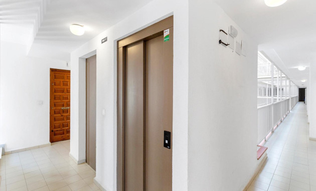 Herverkoop - Apartment - Torrevieja - La Mata pueblo