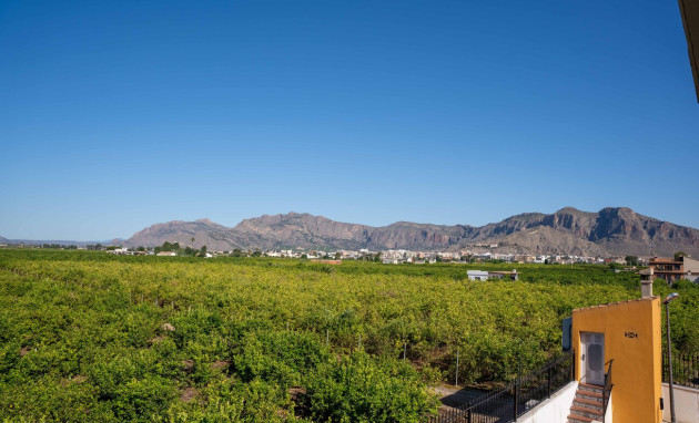 Herverkoop - Finca - Orihuela - Costa Blanca