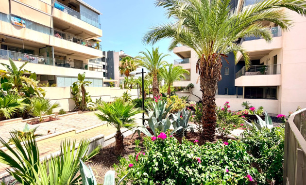 Herverkoop - Apartment - Orihuela Costa - La Zenia
