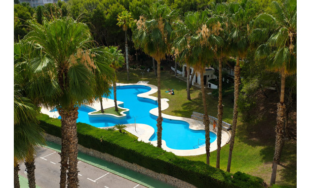 Herverkoop - Apartment - Orihuela Costa - Dehesa de Campoamor