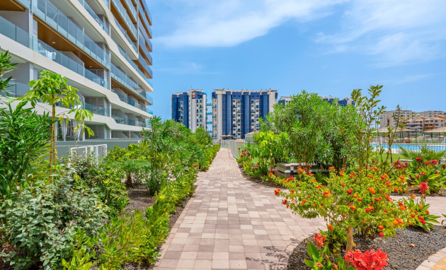 Herverkoop - Apartments - Orihuela Costa - Punta Prima