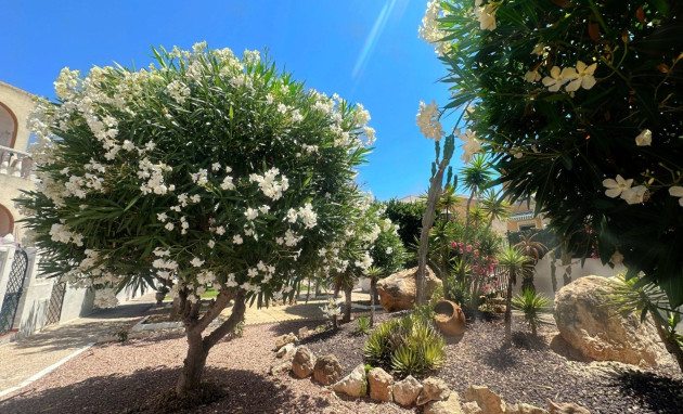Herverkoop - Bungalow - Gelijkvloers - Torrevieja - Torreblanca