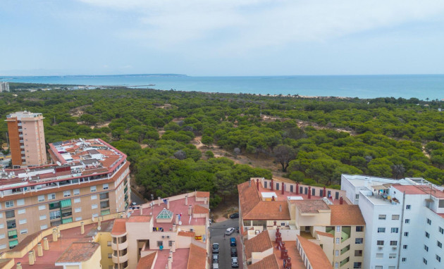 Reventa - Apartment - Guardamar del Segura - CENTRO