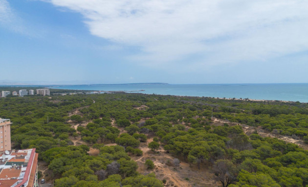 Reventa - Apartment - Guardamar del Segura - CENTRO