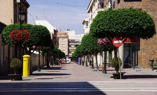 Obra nueva - Villa - Torre Pacheco - Torre-pacheco